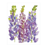 Prints and Note Card Bundles by Rustic County