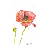 Prints and Note Card Bundles by Rustic County