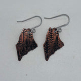Enamel & Copper Earrings