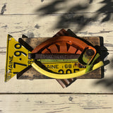 Fish with Recycled Items