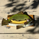 Fish with Recycled Items